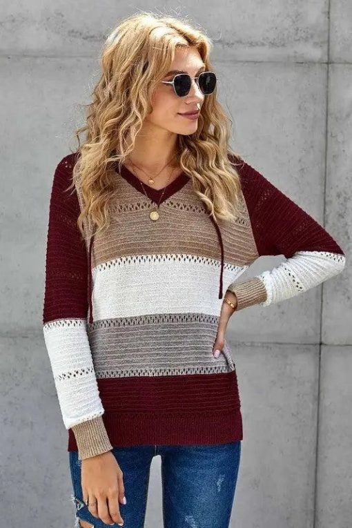 Lillian Colorblock Hooded Knit Sweater Jolie Vaughan Mature Women's Online Clothing Boutique - Image 3