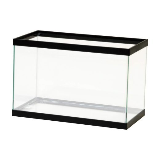 Aqueon Standard Glass Rectangle Aquarium Clear Silicone Black - 5.5 Ga